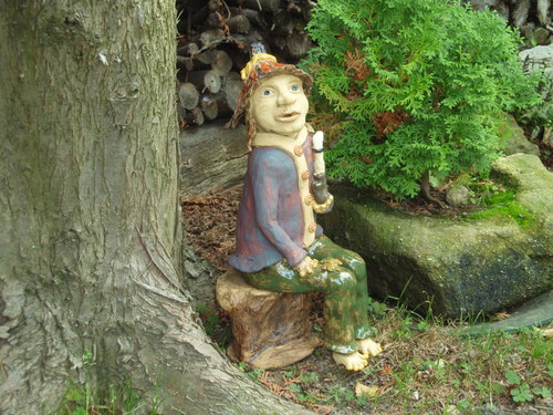 Vodníček na skále — foto 4