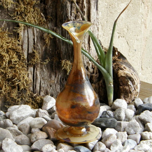 Z břečťanu vyrostlá — foto 2