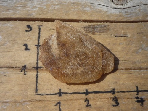 Pouštní růže B2209 — foto 3