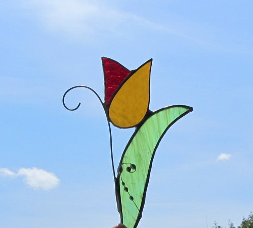 Tulipán — foto 2
