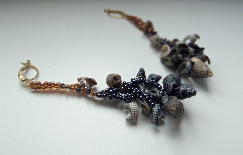Black sea shells — foto 2