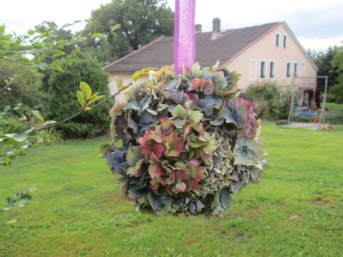 Koulení hortenziové — foto 3