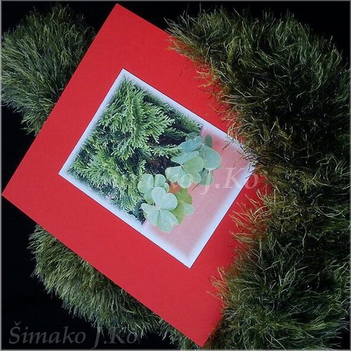 Štěstíčko - oranžové přáníčko — foto 2