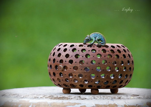 A kdepak bydlí chameleonek...? — foto 2