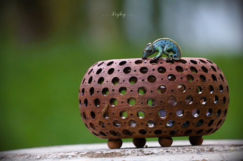 A kdepak bydlí chameleonek...? — foto 4