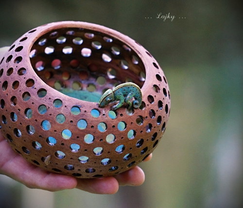 A kdepak bydlí chameleonek...? — foto 5