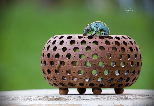 A kdepak bydlí chameleonek...? — foto 6