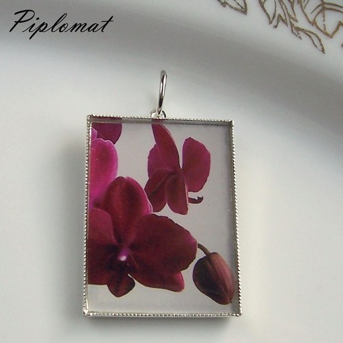 Orchidea — foto 2