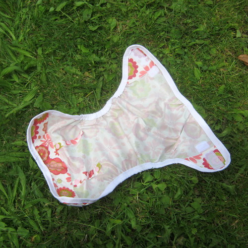 Svrchňáčky jednovelikostní — foto 2
