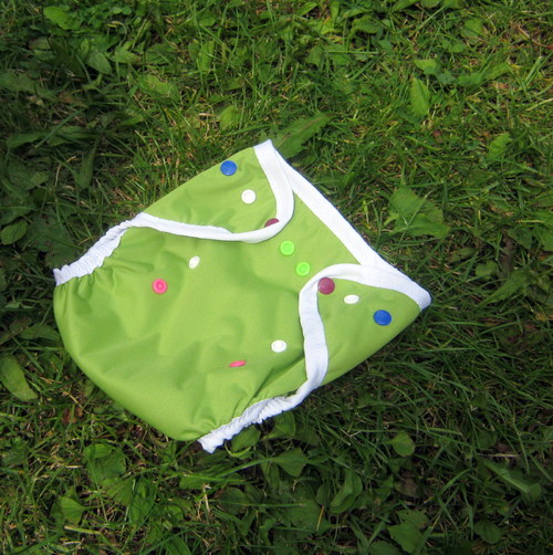 Svrchňáčky jednovelikostní — foto 2