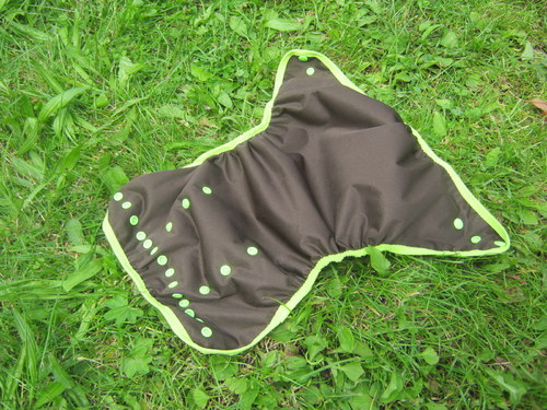 Svrchňáčky jednovelikostní — foto 2