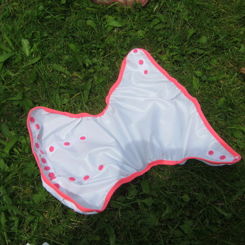 Svrchňáčky jednovelikostní — foto 2