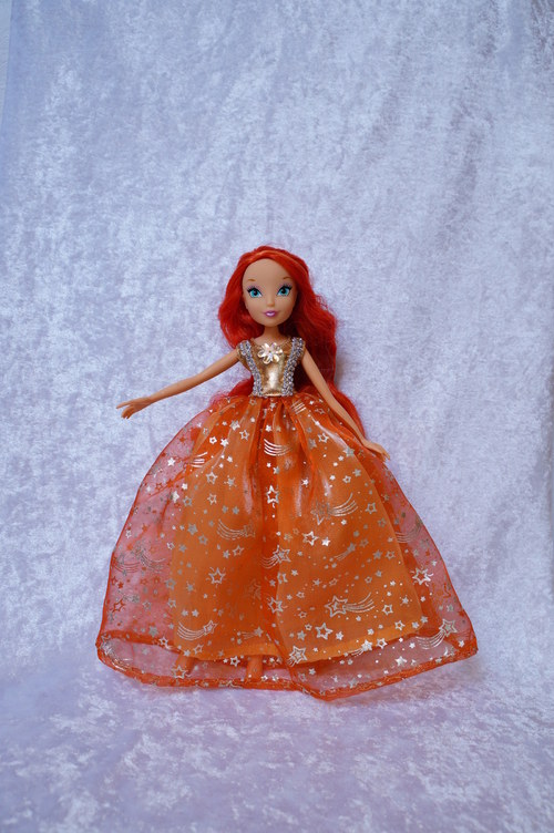 Winx je princeznou — foto 3