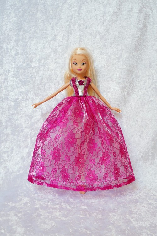 Winx je princeznou — foto 3
