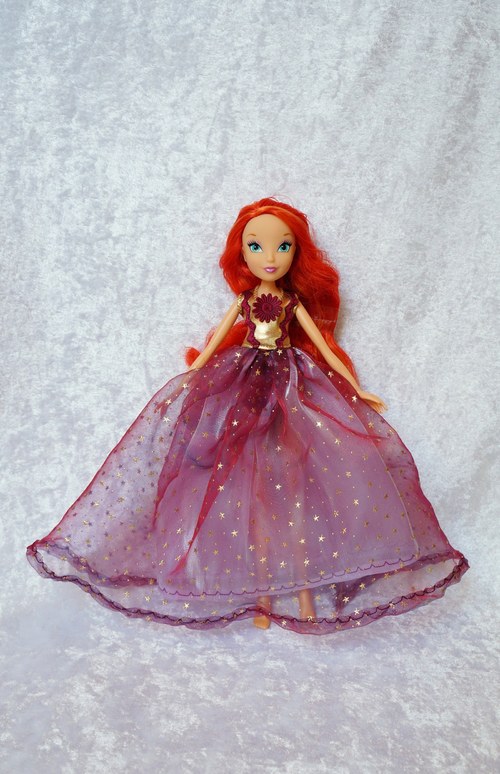 Winx je princeznou — foto 2