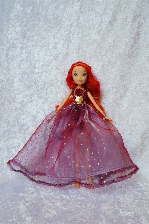 Winx je princeznou — foto 3