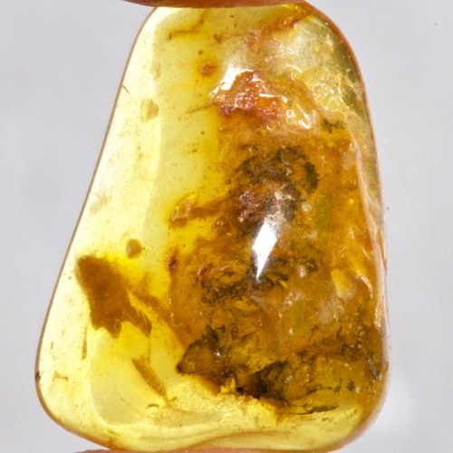 Jantar přírodní — foto 2