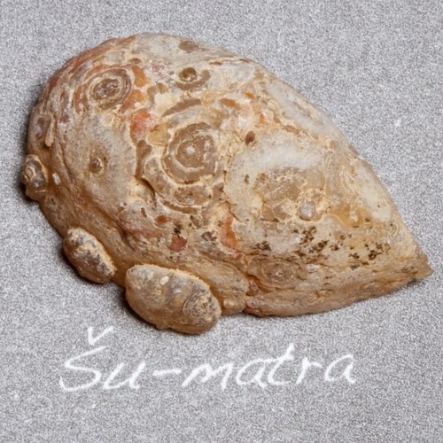Achát - leštěná peříčková geoda — foto 3