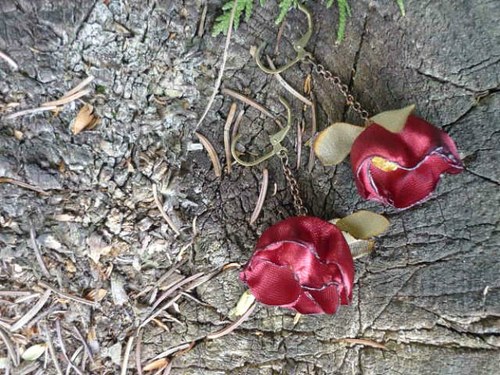 Na pařízku. — foto 3