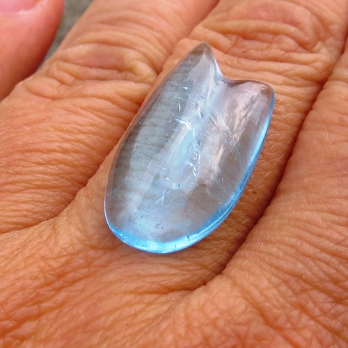 Modrý Topaz č.5- tulipán — foto 2