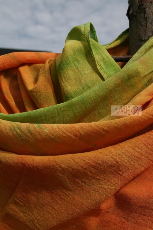 Dýně/Pumpkin — foto 2