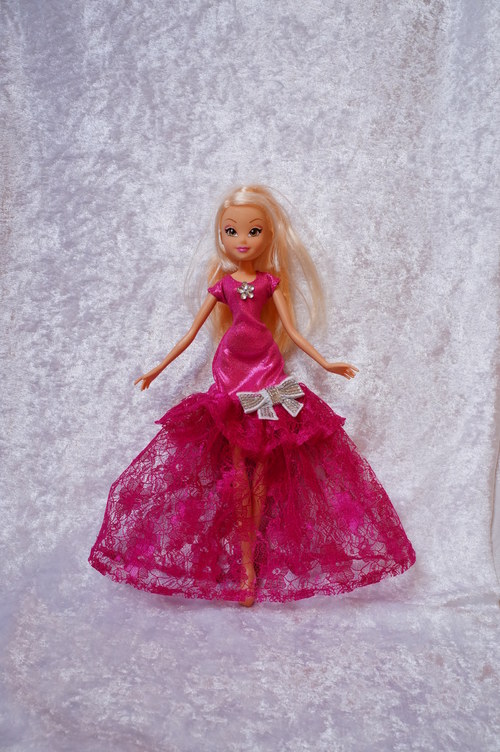 Winx je princeznou — foto 2