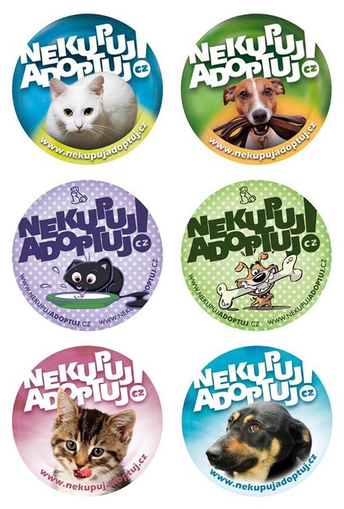 Placka s kočičkou Nekupuj. Adoptuj! — foto 2