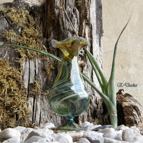 Modrá - zelená - modrá — foto 4