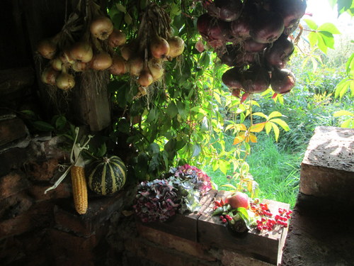 Co vykouzlil podzim — foto 2