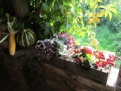 Co vykouzlil podzim — foto 3