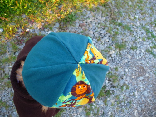 Trocha džungle... — foto 2
