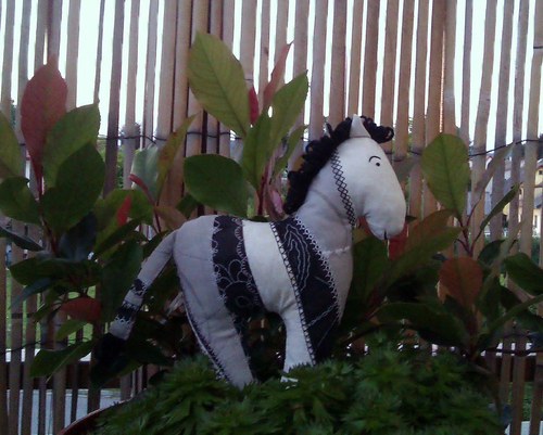 Zebra Patchworkářka — foto 2