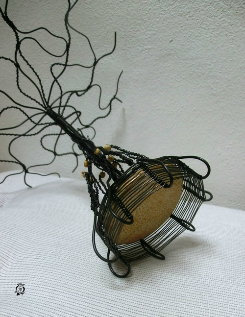 Svícen kořeny obrostlý — foto 5