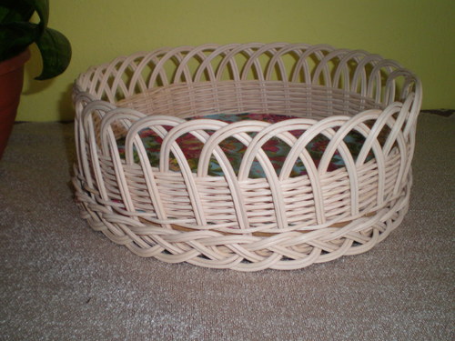 Madeirová ošatka — foto 2