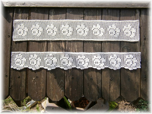 Růžičková krajka II. — foto 2