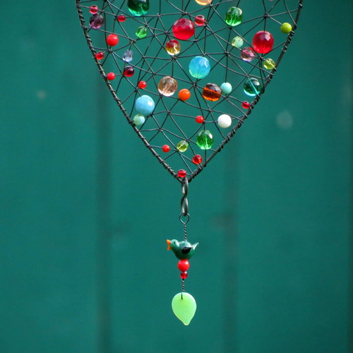 Mi Corazón: Malý ptáček s velkým srdcem — foto 3