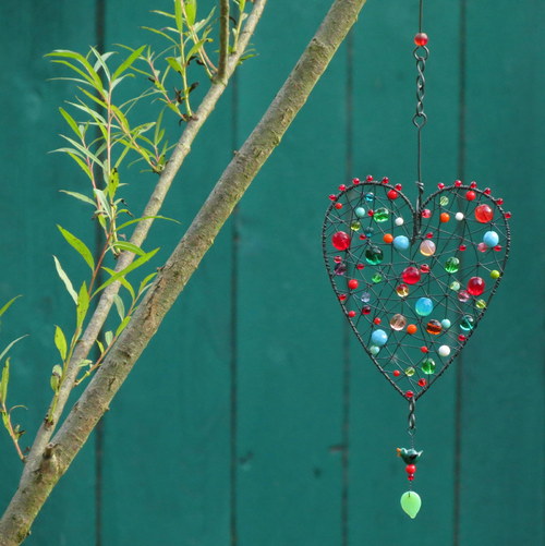 Mi Corazón: Malý ptáček s velkým srdcem — foto 4