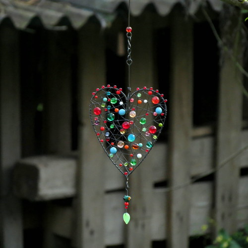 Mi Corazón: Malý ptáček s velkým srdcem — foto 5