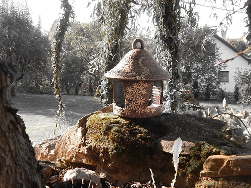 Krmítko rozkvetlé — foto 4