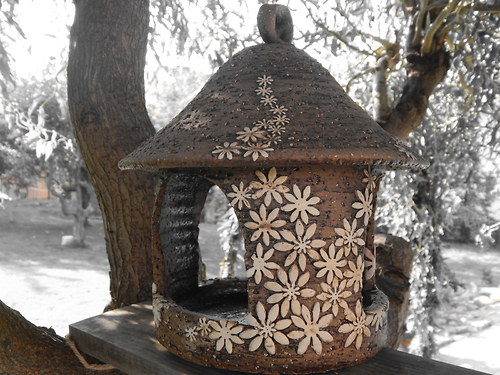 Krmítko rozkvetlé — foto 5