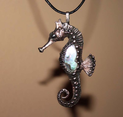 Mořský koník — foto 3