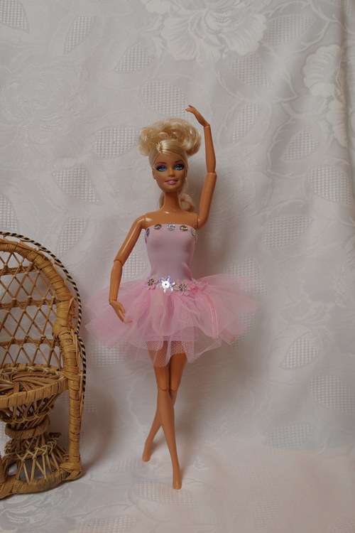Růžová baletka — foto 2