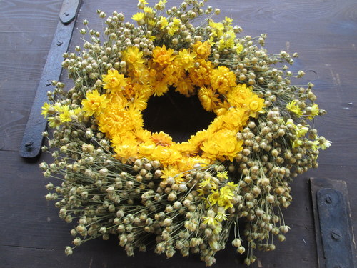 Slunce — foto 3