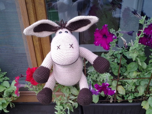 Osel Bohous — foto 3