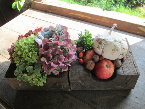 Co vykouzlil podzim — foto 4