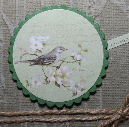 Botanicals (1) — foto 3