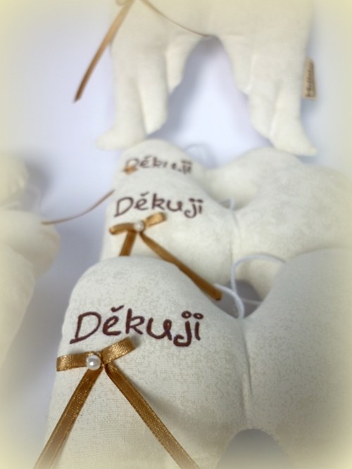 Děkuji... (IHNED K PRODEJI) — foto 2