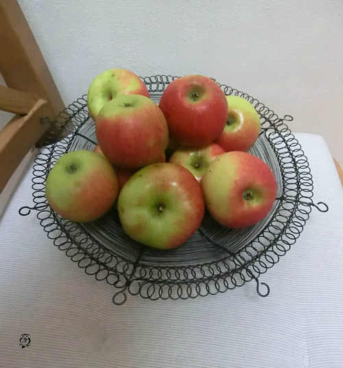 Mísa na přání — foto 5