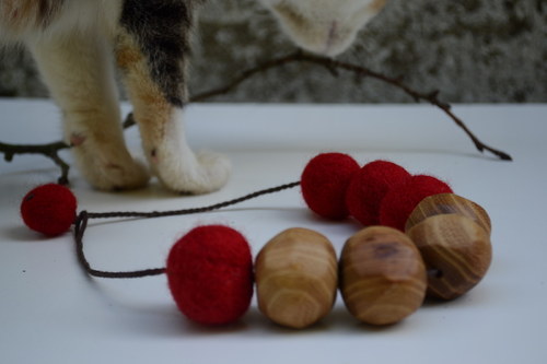 Příroda na provázku — foto 3
