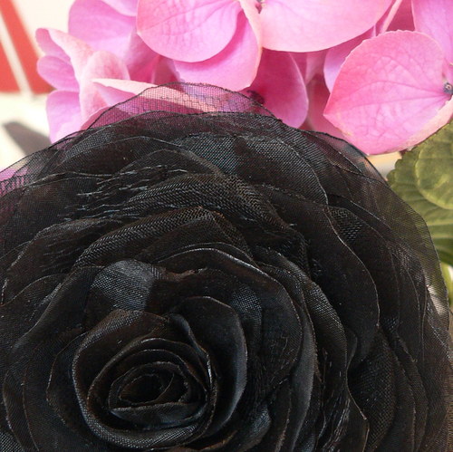 Where the wild roses grow -černá — foto 2